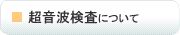 超音波検査について