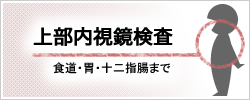 上部内視鏡検査を知りたい方はこちらをクリック