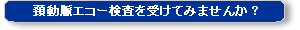 頚動脈エコー検査を受けてみませんか？